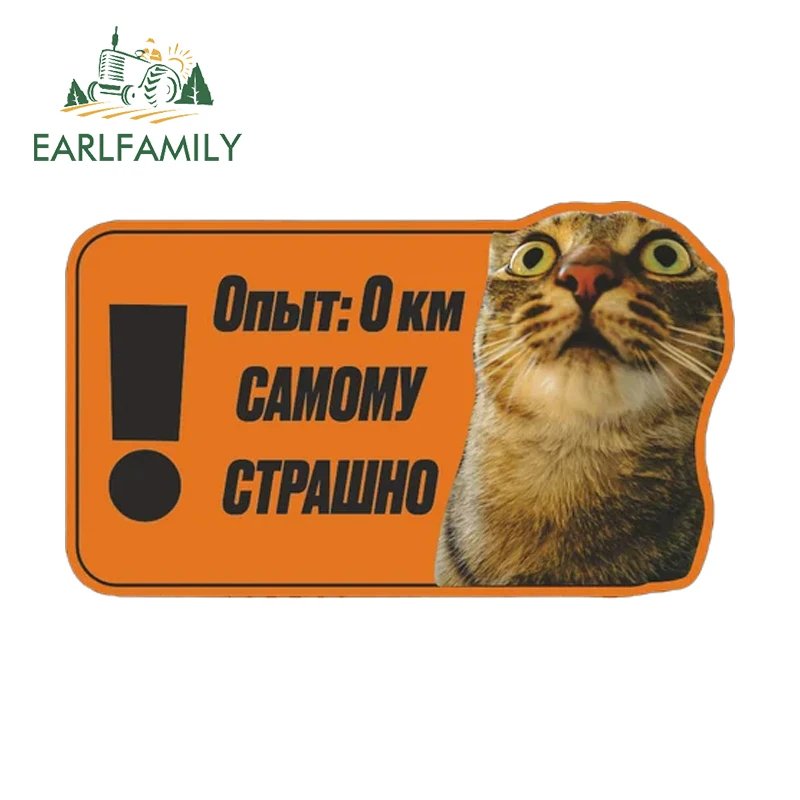 

EARLFAMILY Amusing Cat Peek Personality Car Stickers Funny Slap RV JDM Trunk Decal Auto Car Refrigerators Motorcycle Decor