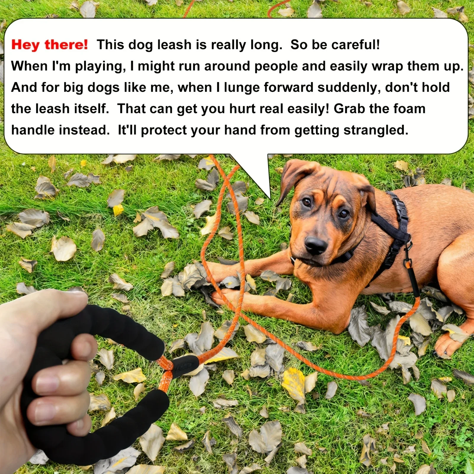1 Stück robuste Hundeleine – strapazierfähig, bequemer Griff, sicher für Spaziergänge mit Haustieren – geeignet für Hundebefestigungsschnur – Detail 4