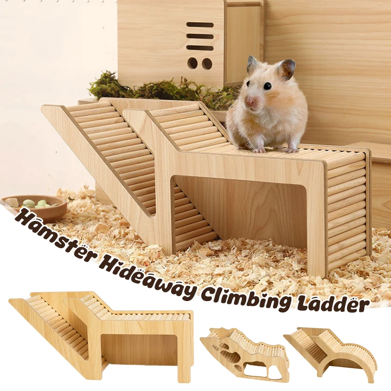 Thumbnail 4 - #19 New Hamster Houses Arrivals