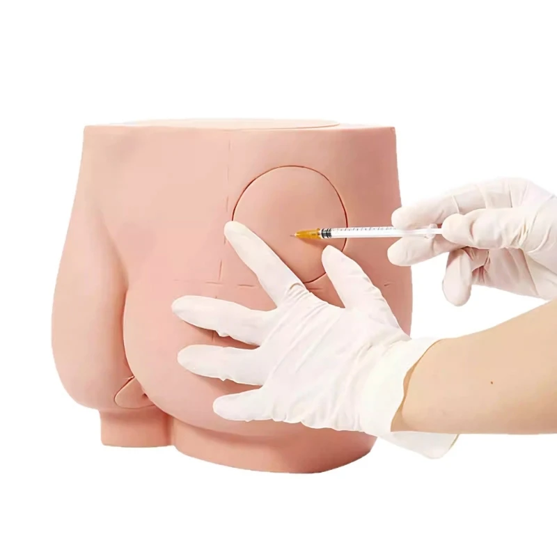  Classroom Teaching Model for Gluteal Injection Practice Use with Guide Lines