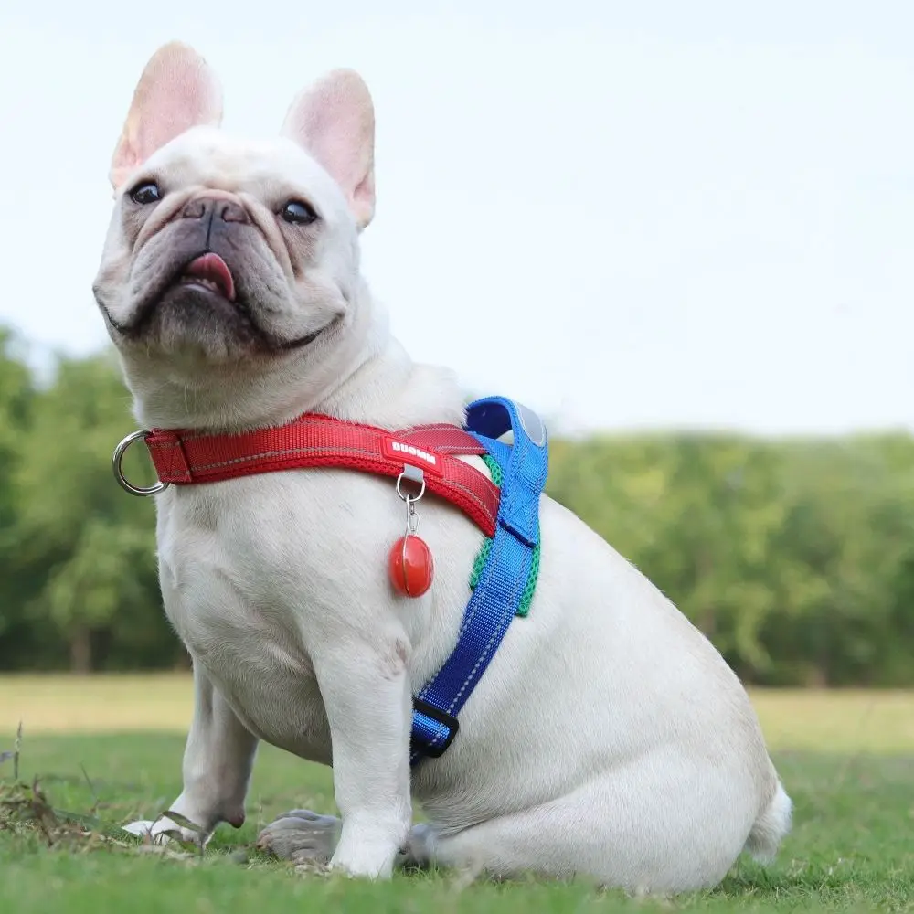 Adjustable Dog Harness Vest Reflective Comfortable Dog Chest Strap Explosion-proof Wear-resistant Pet Vest for Small Medium Dogs
