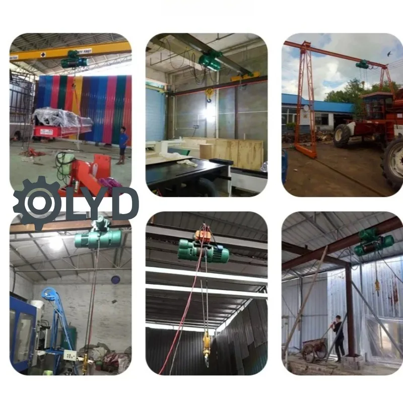 CDK1 1/2/3/5T Wire Rope Electric Hoist 380v Crane Hoist Handling Warehousing Transportation Equipment Lifters Crane view 5