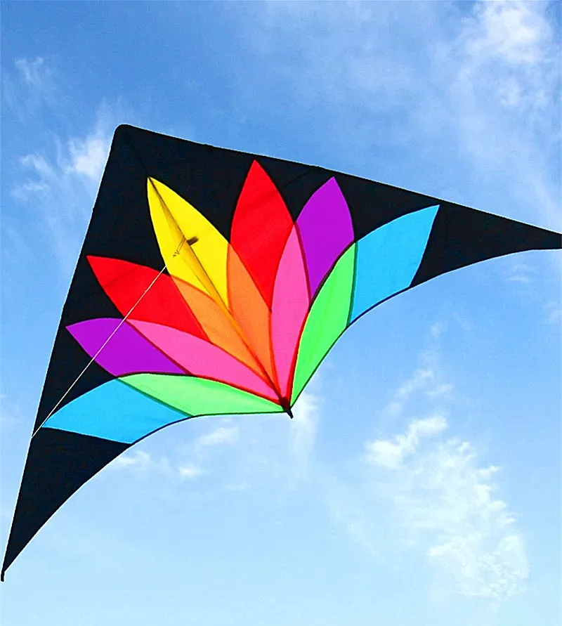 free shipping 2m large rainbow delta kite latawiec profesjonalny cometas de viento gigante octopus reel flying kite for adults