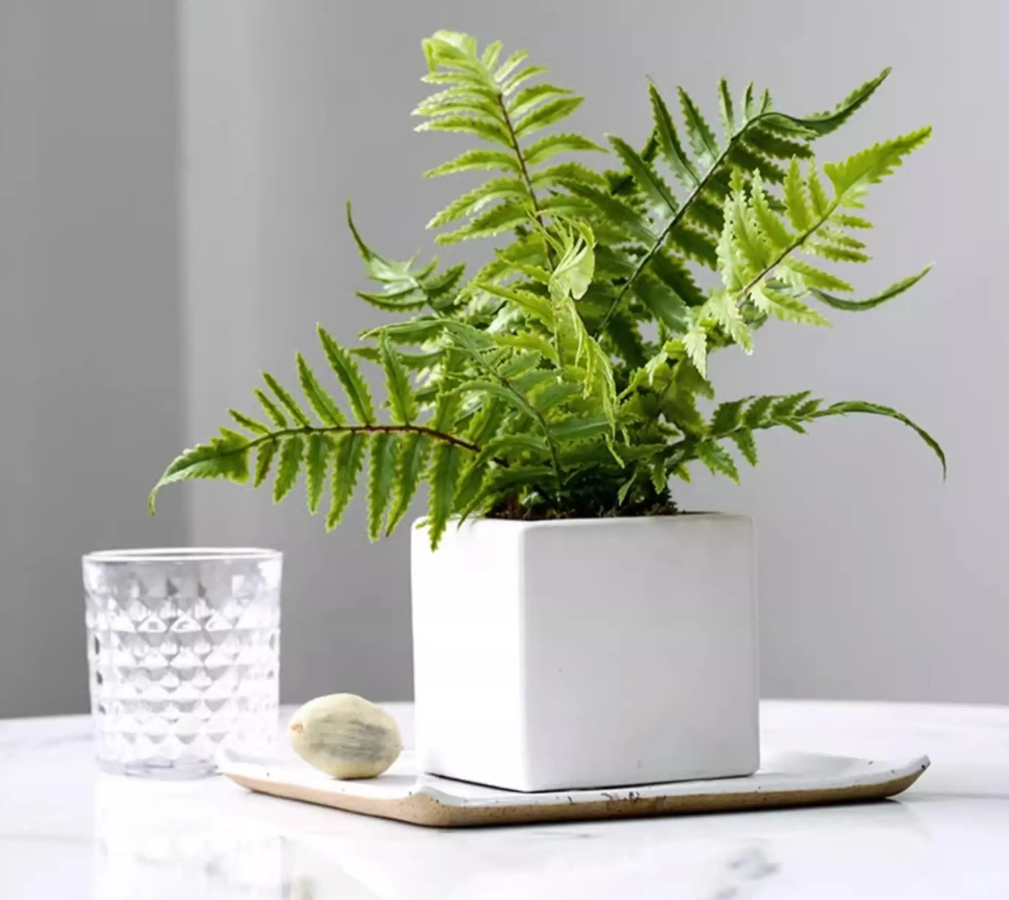 Artificial fern leaves, ferns, Persian grass plants, wall greening materials, DIY landscaping for home, hotel, and office