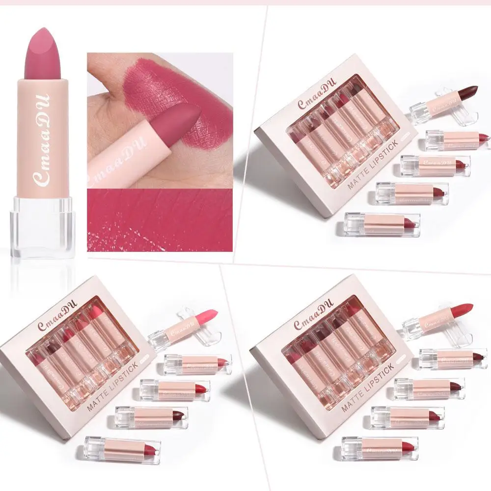 Samt matt Lippenstift Antihaft Tasse Lip gloss Set Lippen tönung Pigment Lippen Make-up wasserdichte Lippen glasur feuchtigkeit spendende Schönheits kosmetik