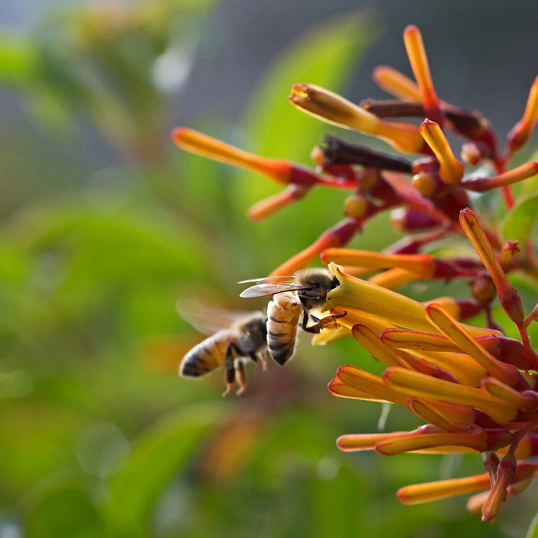 

22-дюймовый Android автомобильный радиоприемник переменного тока для Maserati GT 2007-2015 Carplay GPS-навигация Стерео Мультимедийный видеоплеер Авто 4G WiFi