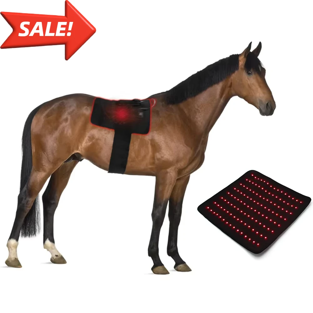 Horse Red Light Therapy  Equine Pet Animal 660nm 850nm Pain Relief Infrared Light Therapy Pad for Horse