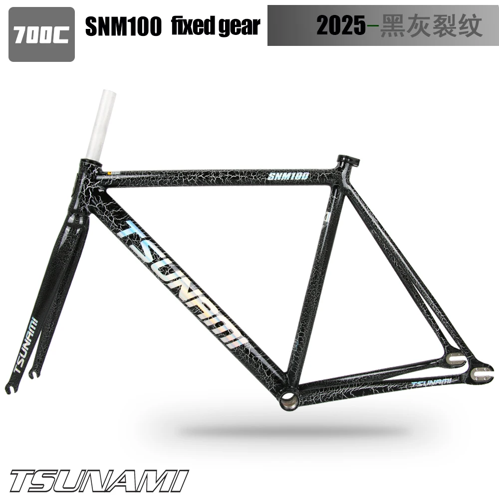 2025 NEW Tsunami Fixed Gear Bike Frame SNM100 Aluminum Alloy