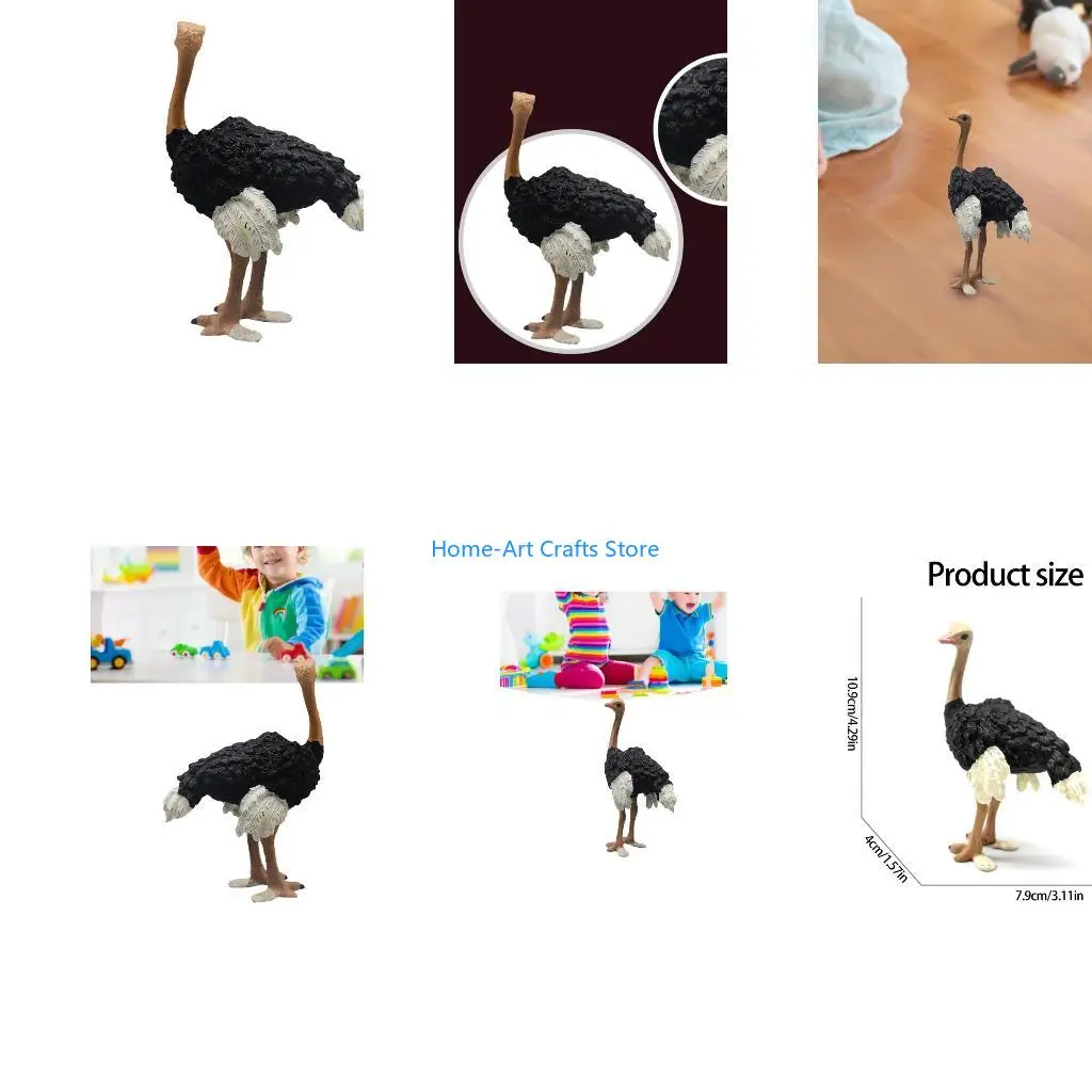 Y3NA Realistic Ostrichs Figurines Ostrichs Model Tabletop Centerpieces Home Decors