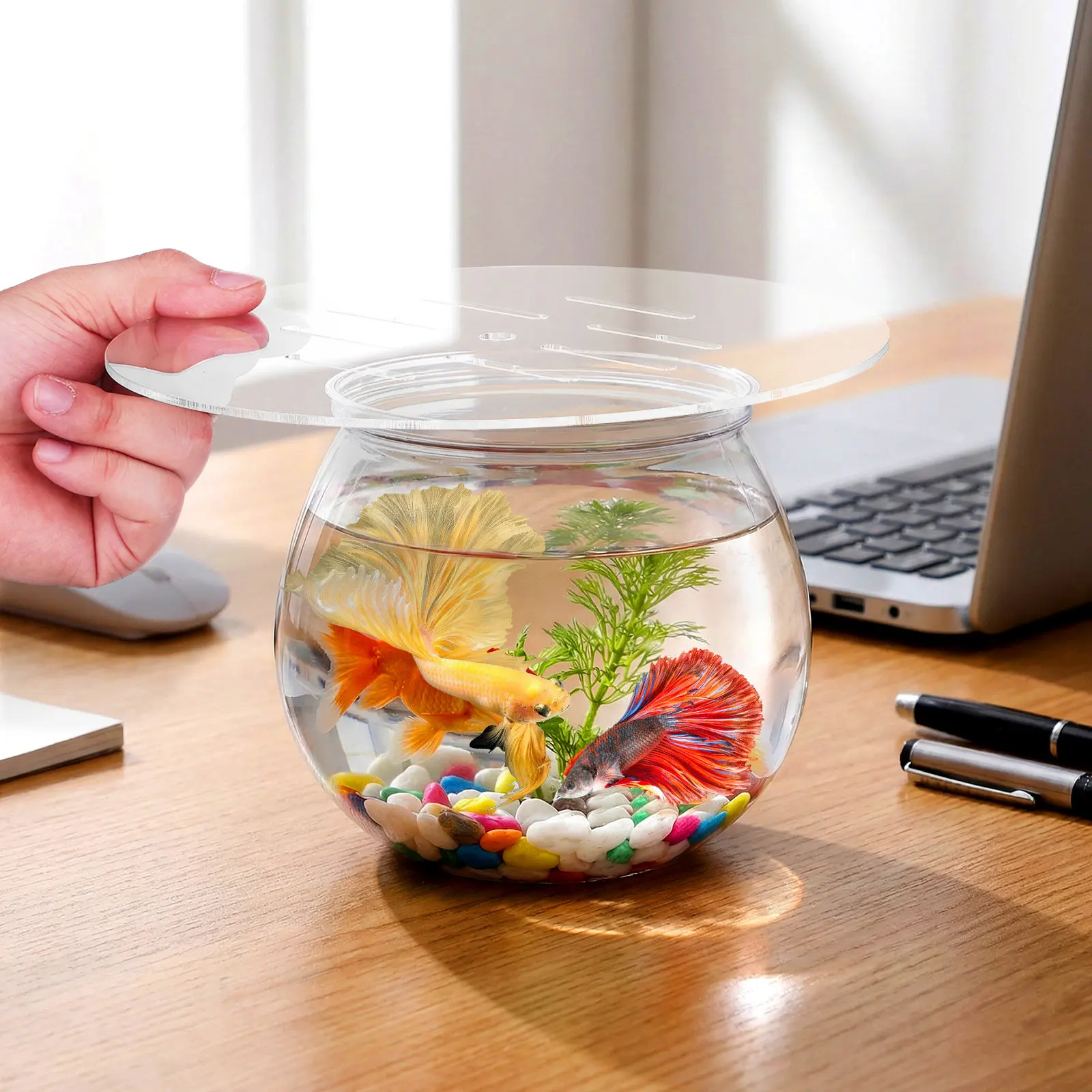 

Крышка для аквариума 22 см, круглая, акриловая, прозрачная, защита от побега для аквариумов, террариумов, рептилий, креветок, черепах, надежная защита от влаги