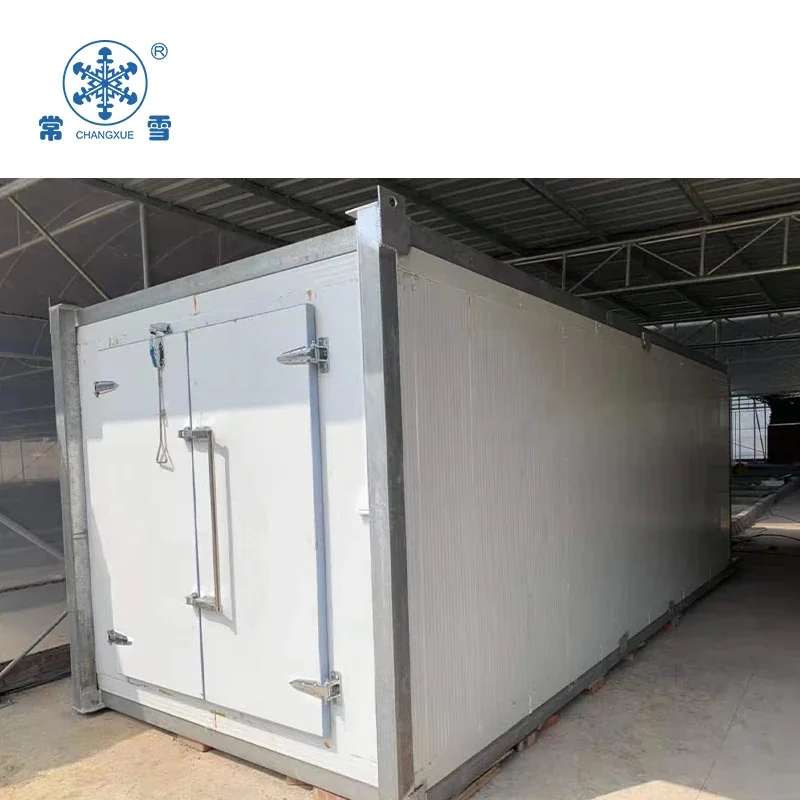 Mobile cold room movable portable cold room for food and transportation mobile cold storage