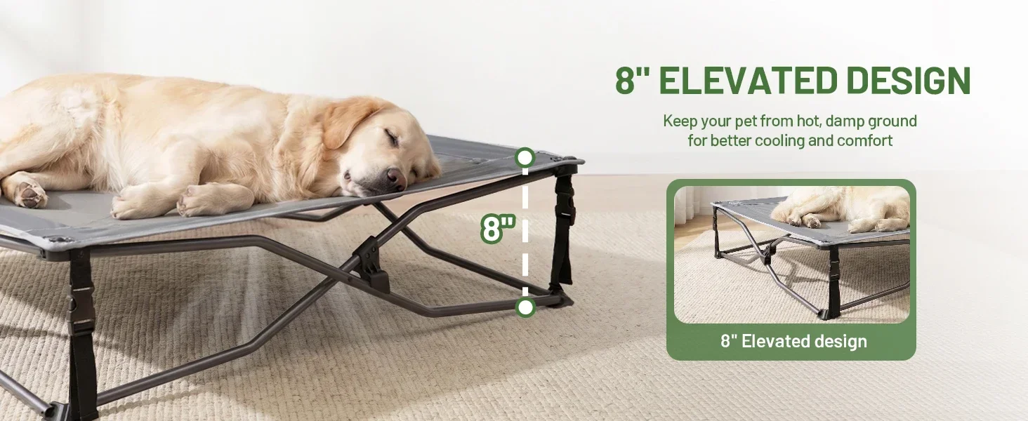 dog bed