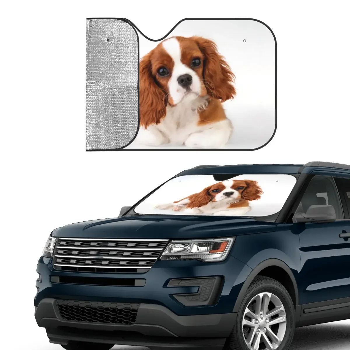 Cavalier King Charles Spaniel Fold-up Windshield Sunshade 70x130cm Gift for Animal Dog Lover Foils Sun Visor Accessories Covers