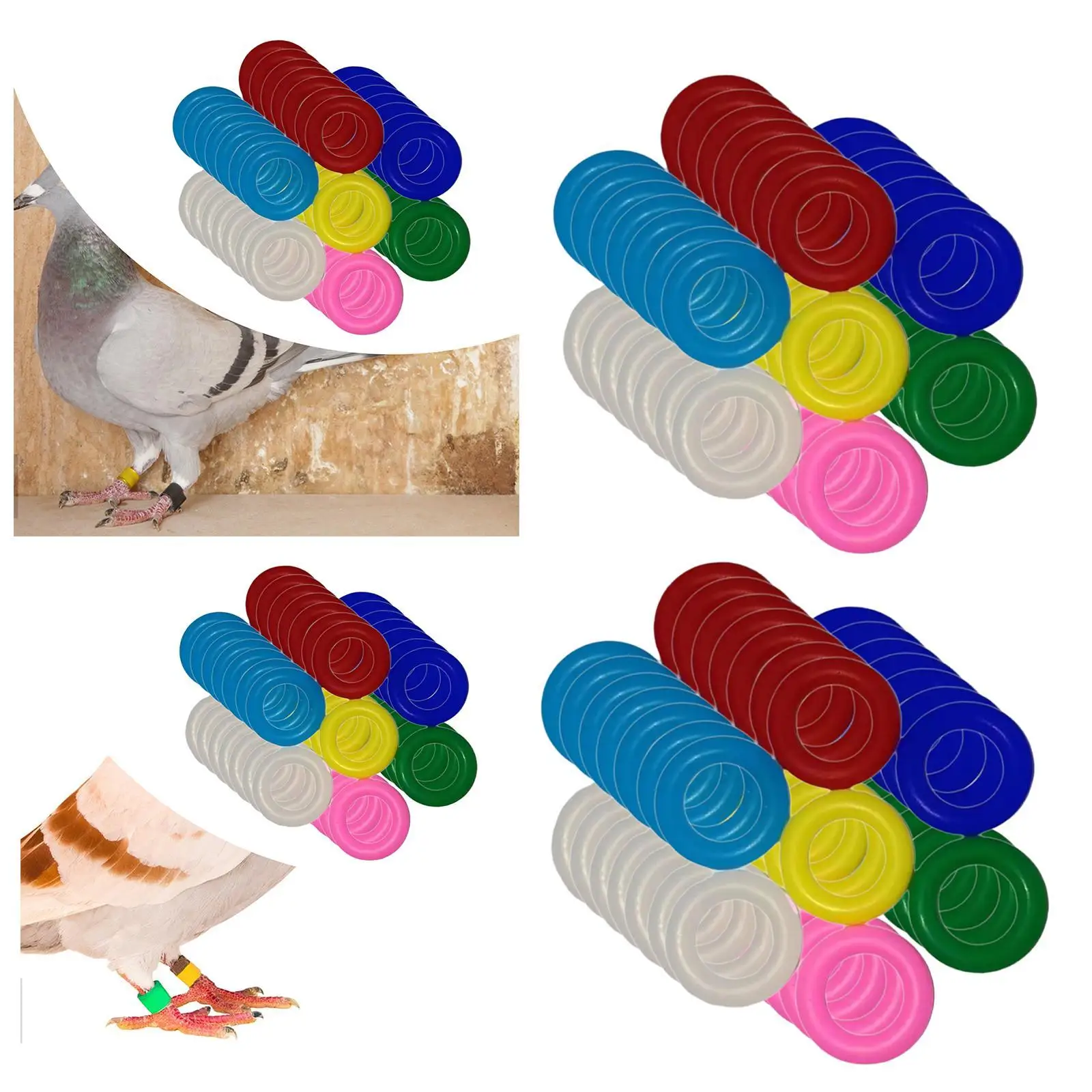 100 Pieces Bird Foot Rings Recognition Rings Mixed Color Identification Foot Rings for Parrots Pigeons Quails Rutin Ducks