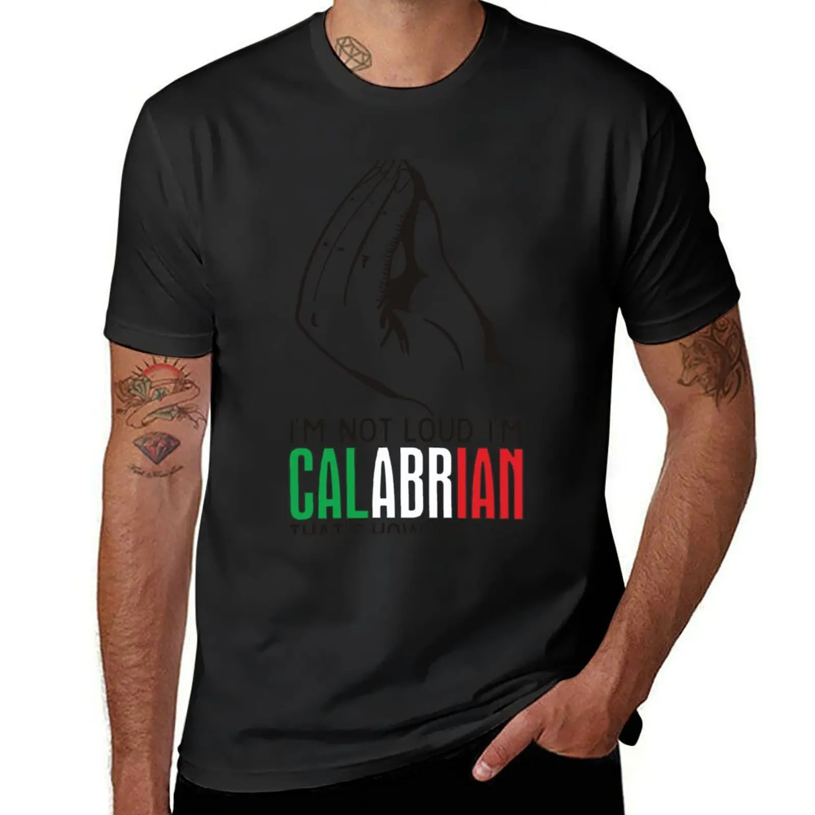 

Calabria Italy Calabrian Quote Souvenir T-Shirt gifts for boyfriend plain shirts men