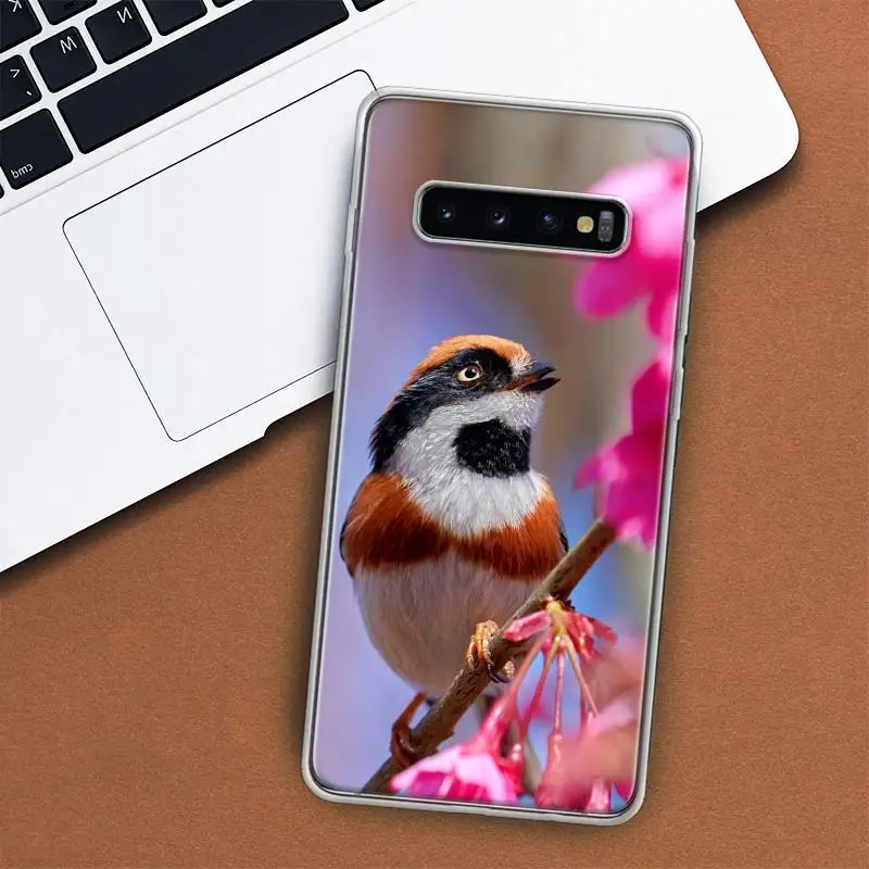 Magpie bird Phone Case For Samsung Galaxy M21 M12 M31S M32 M51 M52 Note 20 Ulte 10 Plus 9 8 J4 J6 + J8 M11 F52 F62