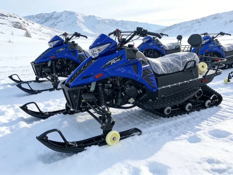 300CC Snow Mobile ATV Tracked Snow Vehicle Skidoo 300CC Engine All Terrain Off-road For Adult view 2