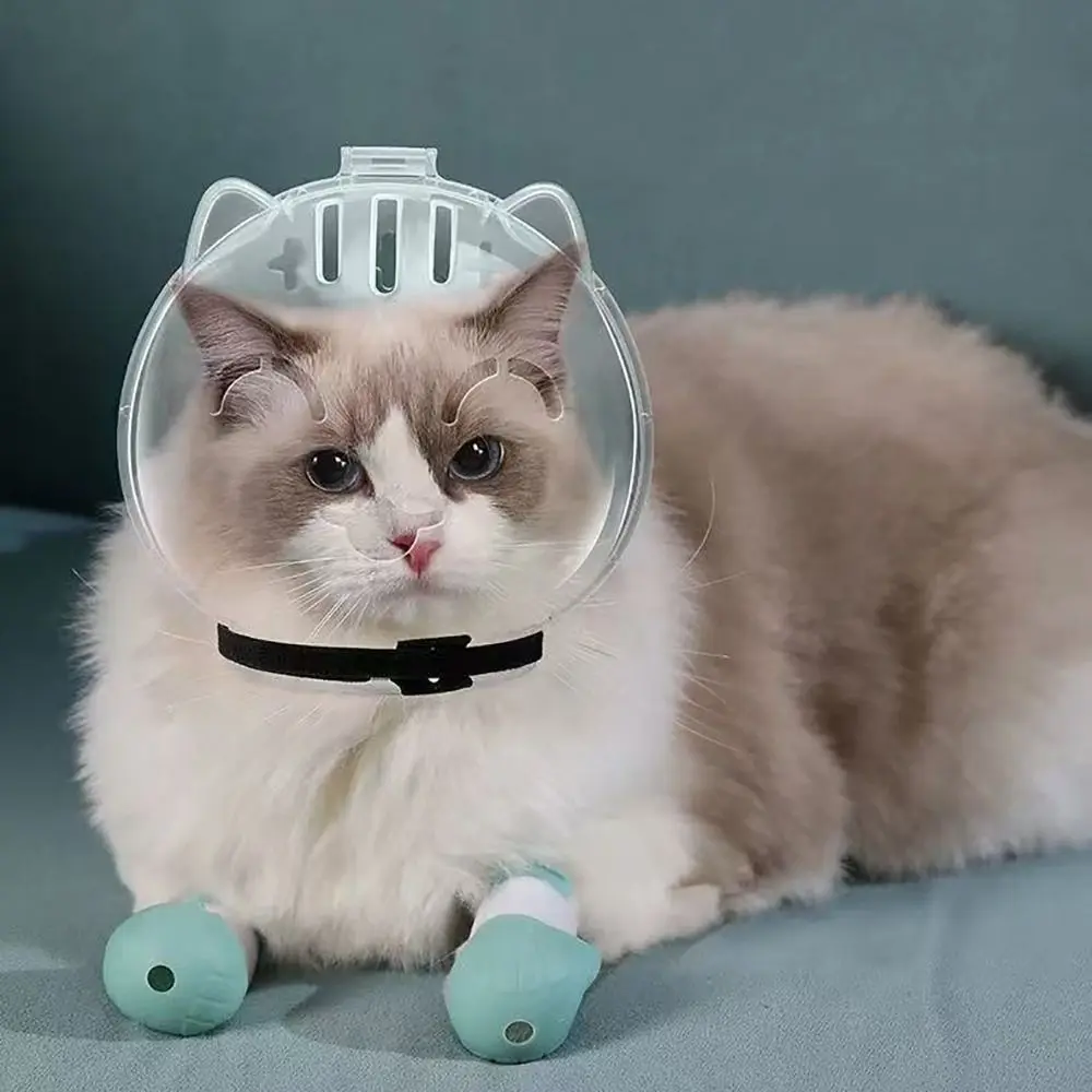 Picture 5: Transparent Breathable Cat Muzzle Anti-Licking Anti-Bite Cat Space Hood Cat Grooming Accessories Anti Scratch