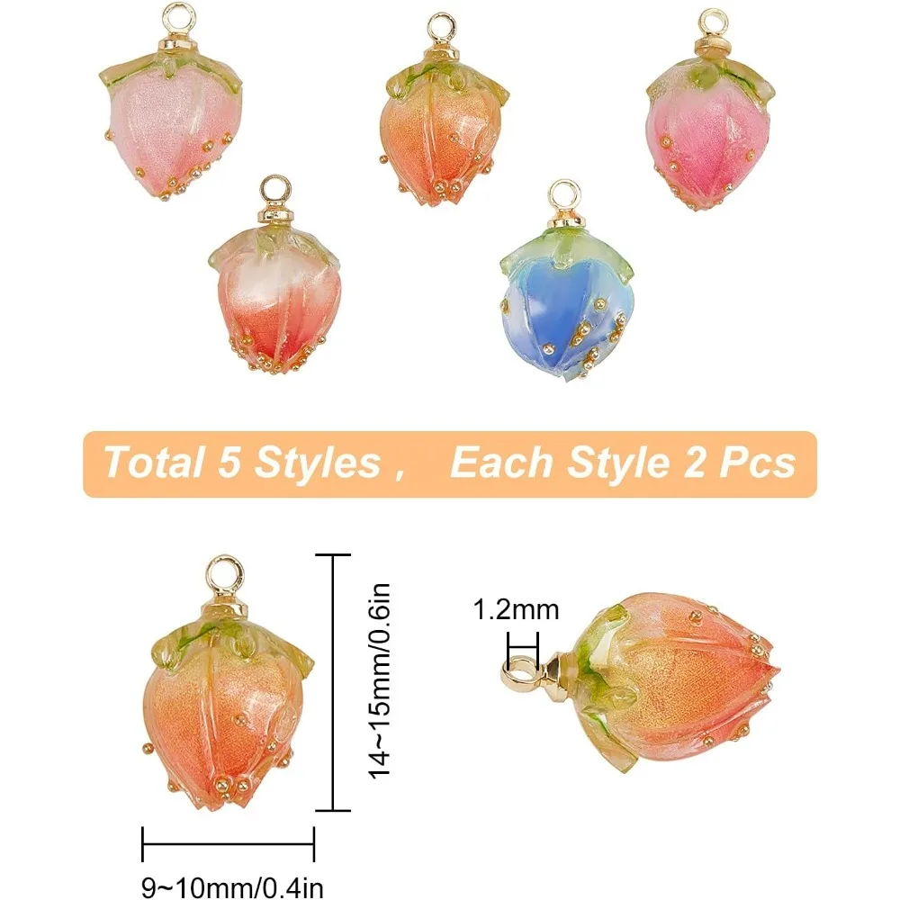 1 Box 10Pcs 5 Styles Dried Flower Charms Transparent Clear Epoxy Resin Pendants with Brass Hole 1.2mm Glass Micro Beads for DIY