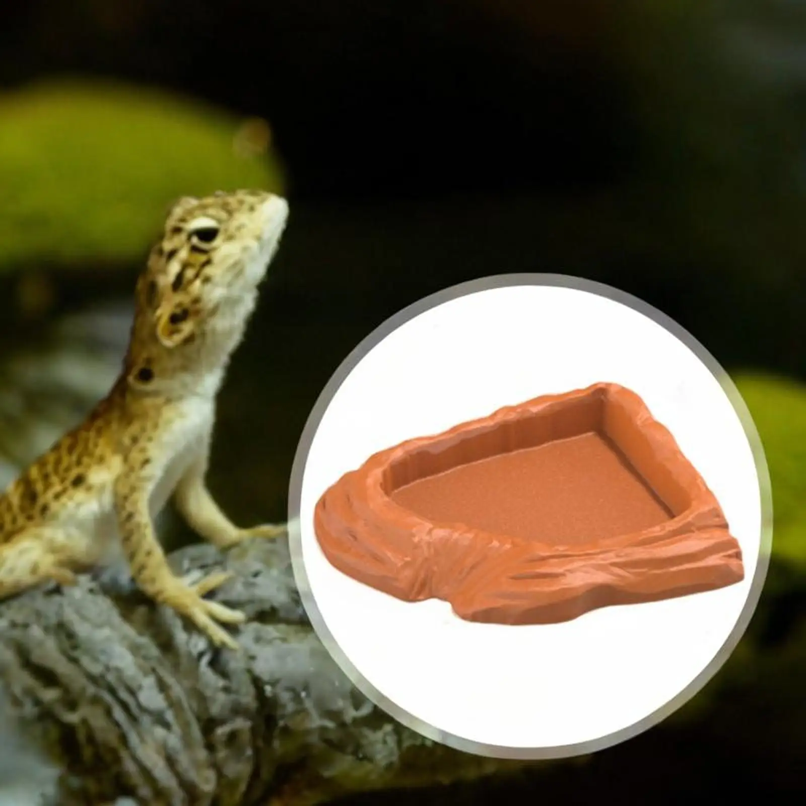 Comedero y bebedero para tortugas – Diseño decorativo de roca - imagen 2