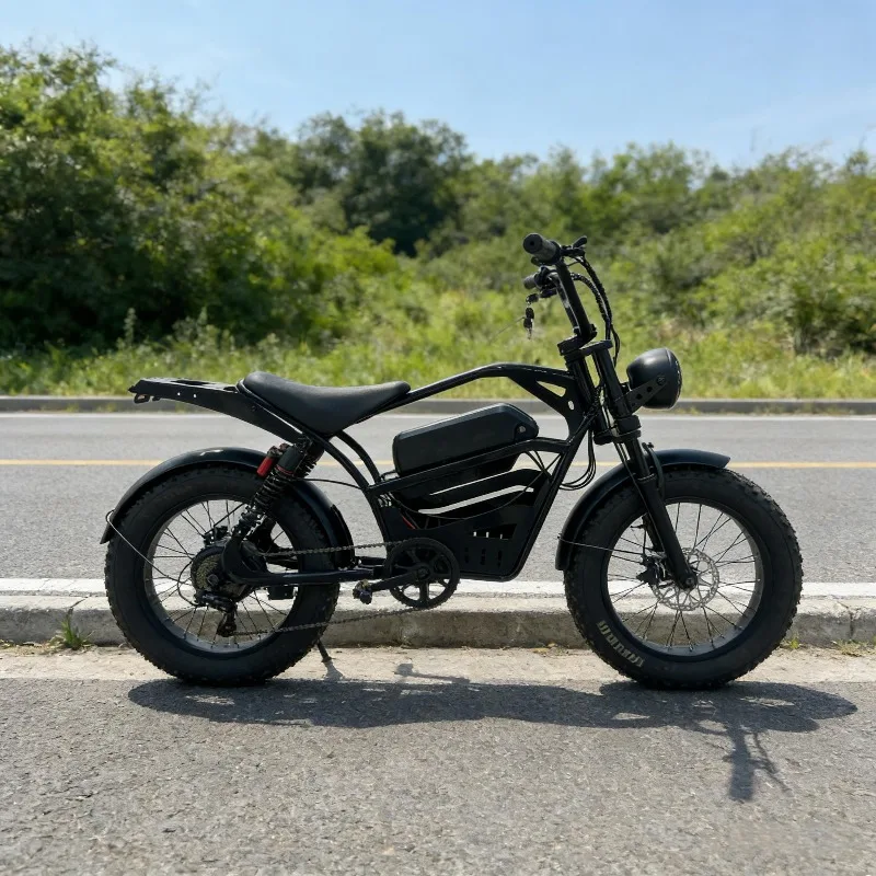 BR 800W Electric Fatbike Motorcycle With Rear Hub Motor Lithium Battery 48V Aluminum Frame Disc Brake 60km Range Rear Carrier 96