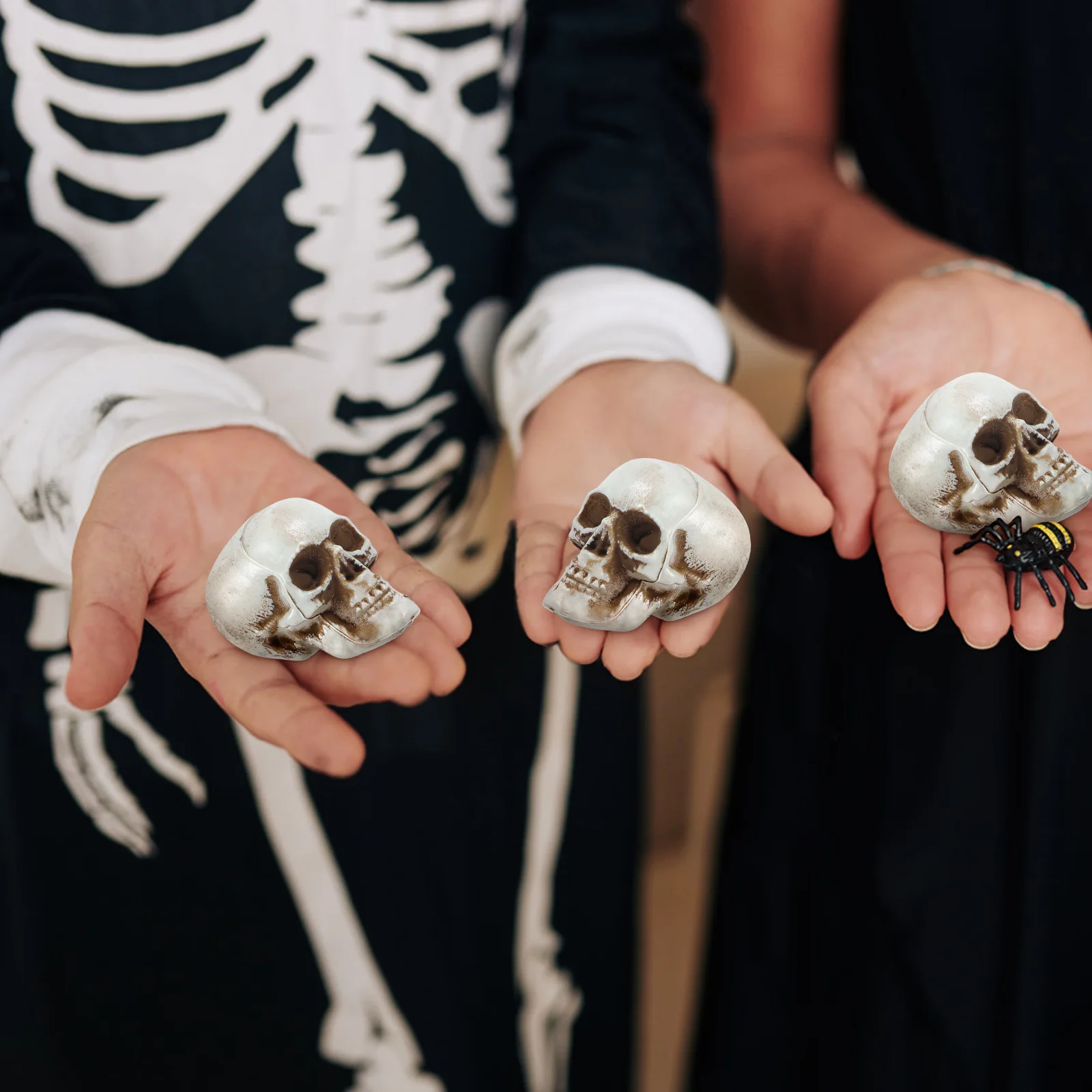 Crâne d'Halloween pour Fenêtre, Jouet pour Enfant, Fournitures de ix, Ornement