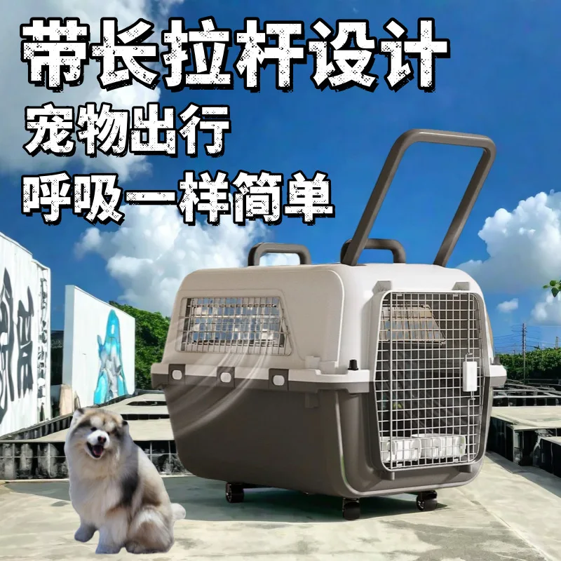 Standard Pet Air Box Air China Aircraft Consignment Box Small Large Air Freight Box