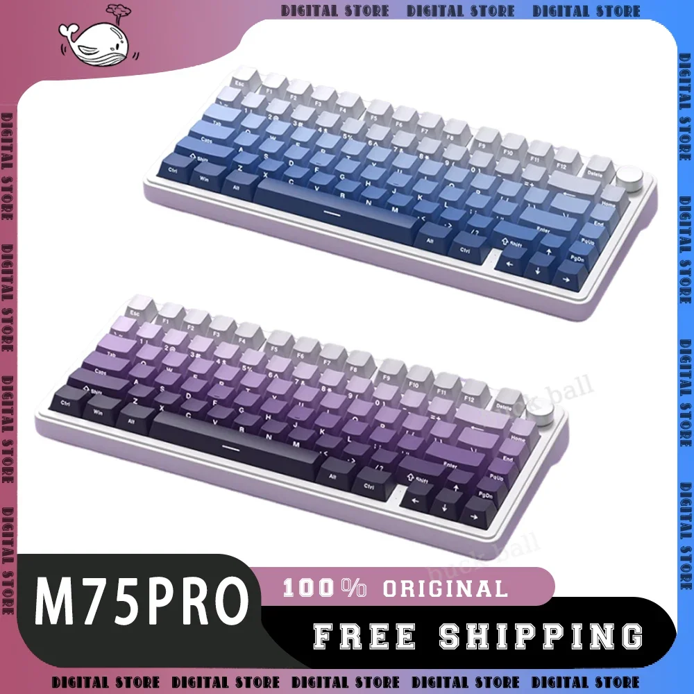 

XINMENG M75pr Mechanical Keyboard 3Mode USB/2.4G/Bluetooth Wireless Keyboard 80keys Hot Swap Rgb Backlight Gaming Keyboards Gift