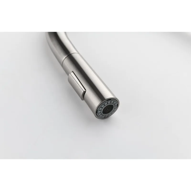 Kitchen Faucet with Pull Down Sprayer