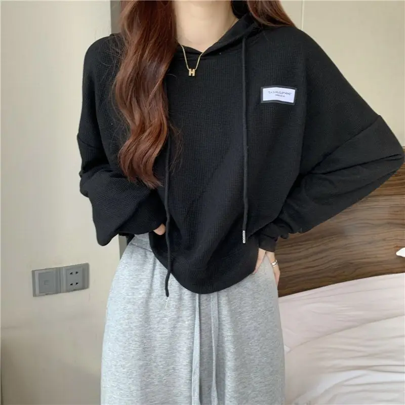 Long Sleeve Spring and Autumn Woman Hooded Tops Y2k Japanese Streetwear 2000s Sweat-shirt Sport Emo Hoodies Sweatshirt for Women