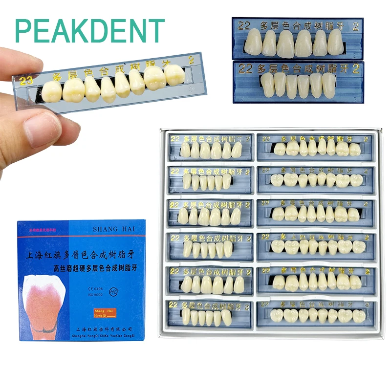 

Dental A2 Multi-layer Color Synthetic Resin Teeth Full Mouth Dentures Acrylic Resin Dental Models Dental Material Education