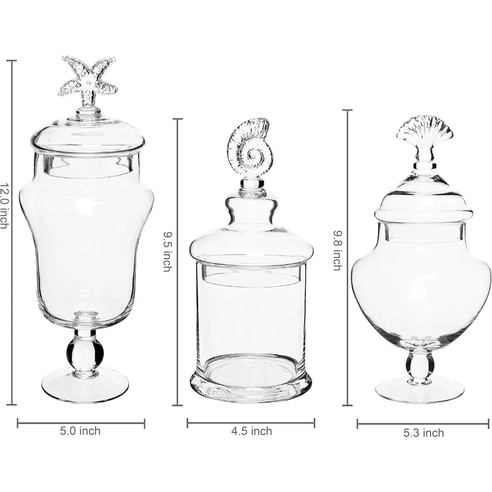 ชุดใหม่ 3 แก้วใส Apothecary Jars w/ฝาปิด,ตกแต่งเปลือกหอยออกแบบห้องน้ํากระป๋อง, เท้า Candy บุฟเฟ่ต์คอนเทนเนอร์