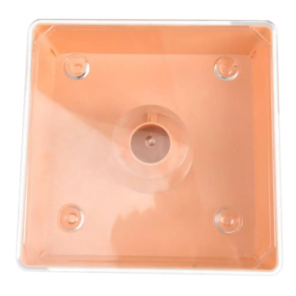 

Square Around 2 Litres Plastic Beehive Top Feeder Bee Feeder Beekeeper Tool