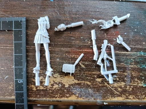 Buyer photo of this resin kit