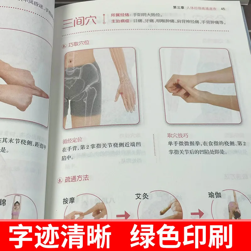 (5권) 전통 중국식 마사지 및 조작에 관한 책, 마사지, 부항, 괄사 등을 배우세요. 처음부터