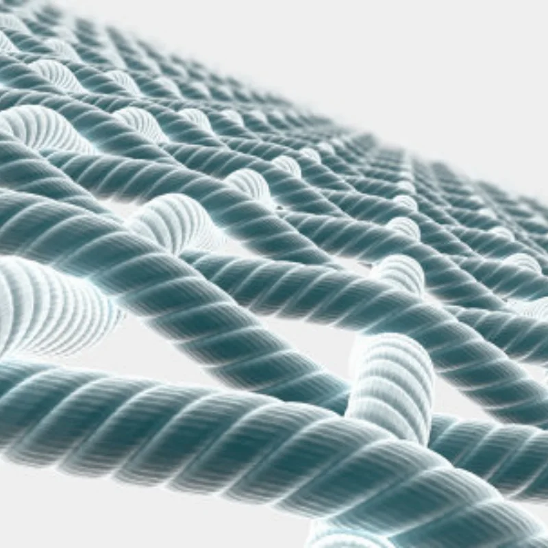 メタル380～540モーターアダプター3650モーターコンバーター（Xray Serpent Xpress、PTG、LRacing、3Racing、Sakura RCバギーアップグレードパーツ用）