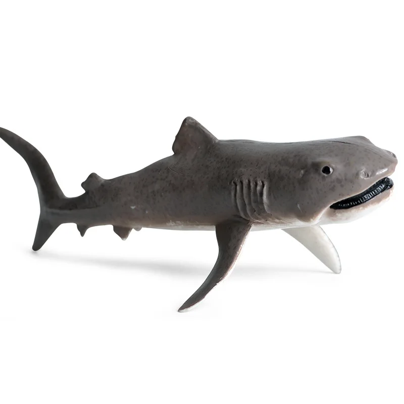 

Children's solid marine animal model Shark Great white shark Shark