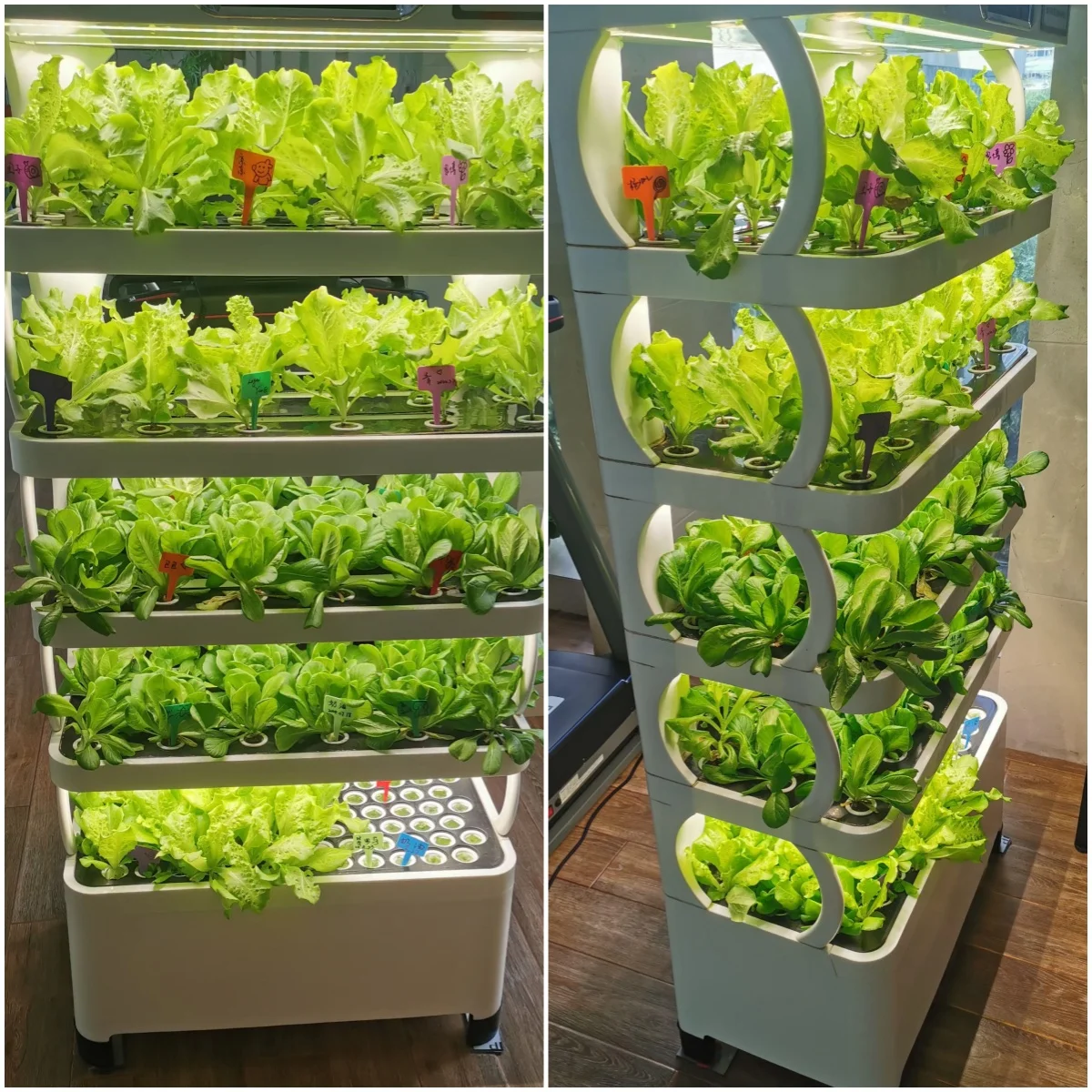 زراعة الخضروات المائية الذكية المنزلية رائجة البيع نظام الزراعة المائية مع مصباح نمو Led للحديقة الداخلية #4