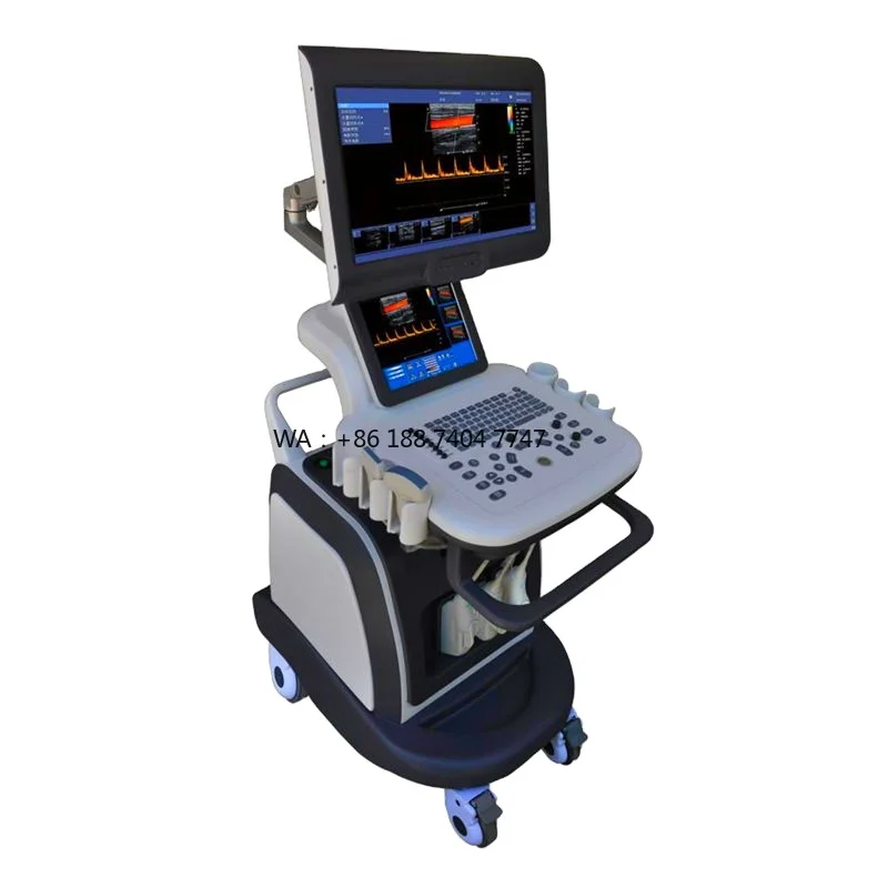 4D Ultrasound Machine Color DopplerMindray Medical Full Digital Ultra Sound Therapy Device Mindray