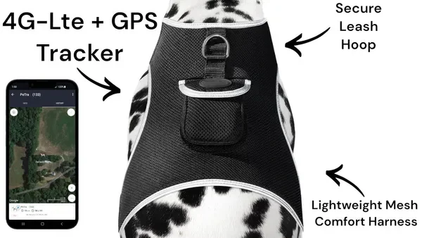 

Long Range GPS Tracking Collar for Hunting Dogs - Size L