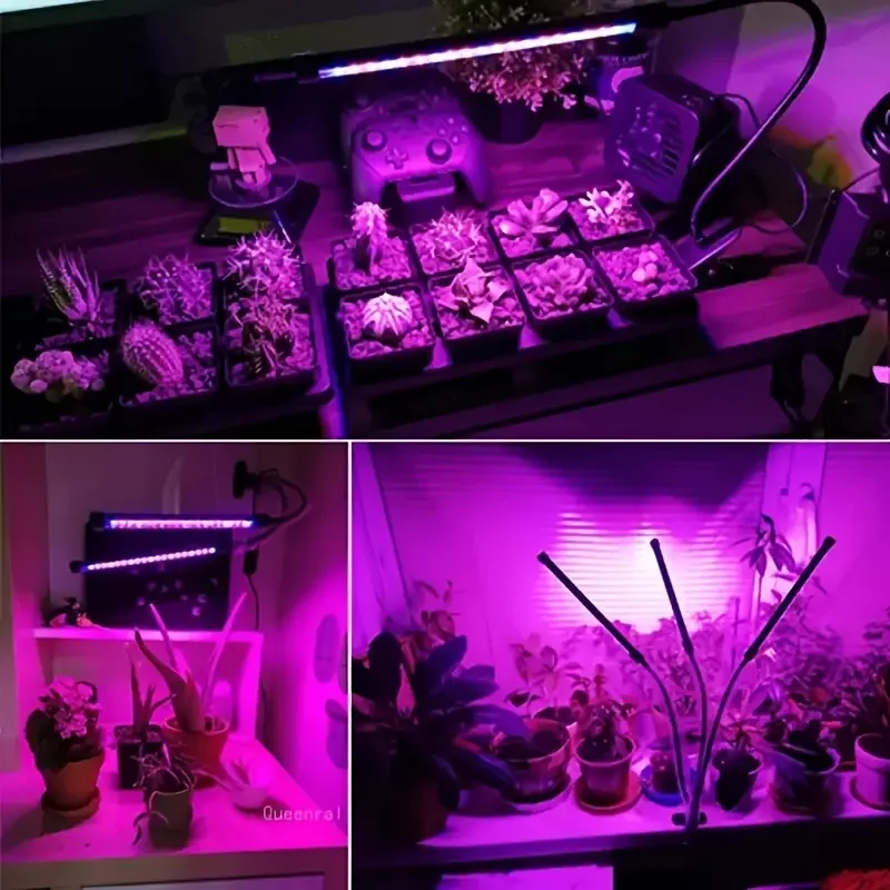 Imagem -06 - Usb Led Grow Light com Espectro Completo Temporizado para Plantas Hidroponia Crescendo Sistema Indoor Grow Tent Estufa