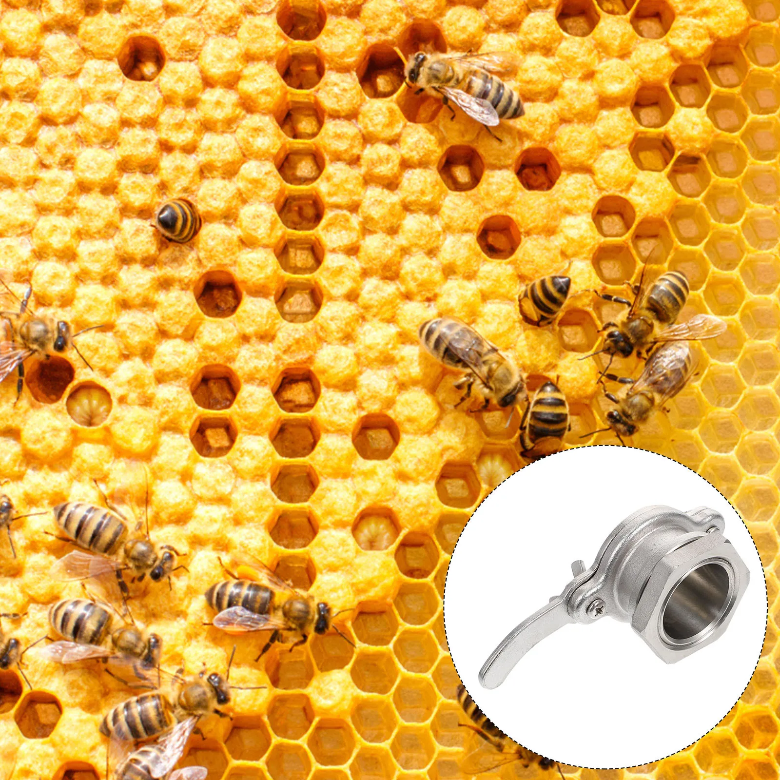 

1Pcs Honey Gate Stainless Steel Durable Beekeeping Tool for Regulating Flowing Honey Exit Extractor Valve Beekeeping Accessory