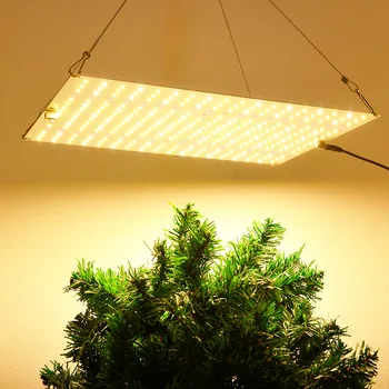 Full Spectrum LED Grow Light, Phyto Lâmpada para Estufa, Iluminação de Crescimento Vegetal Hidropônico, LM281B, Flor crescendo chip