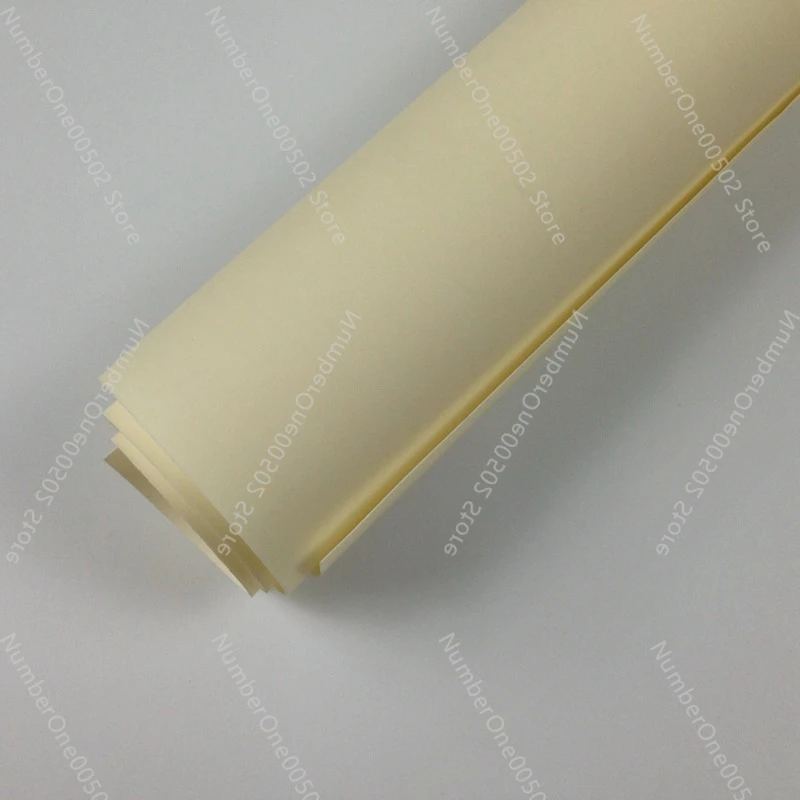 AMI7001 Anion Exchange Membrane