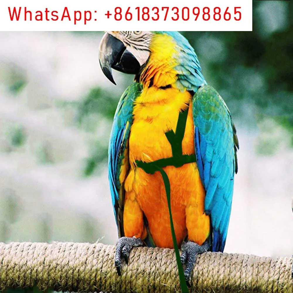 2Pcs parrot release rope, tiger skin Xuanfeng traction rope, macaw gray parrot going out training rope walking strap