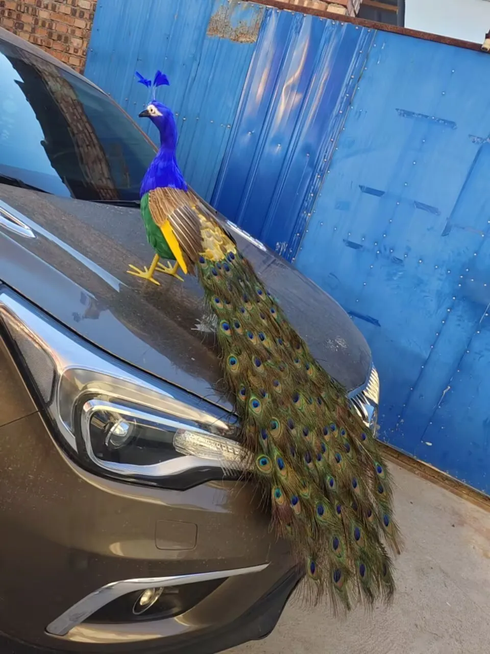 

Прекрасная красочная модель павлина из пенопласта и перьев, подарок павлина около 125 см a0119