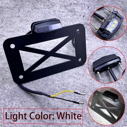 Universal Motorcycle Side Mount LED Tail Light With License Plate Number Bracket Holder For Touring Bobber Harley Sportster