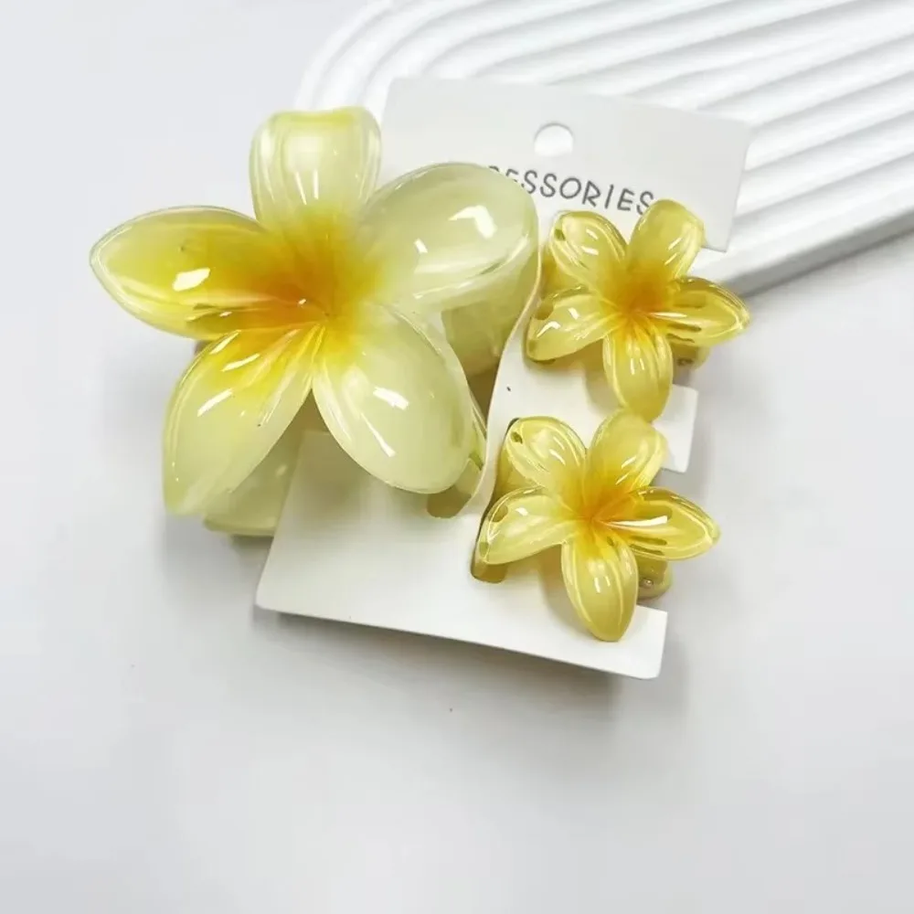 

3 шт./компл., новые градиентные когти для волос, сладкий цветок, цветок плюмерии, гавайский цветок, заколка для волос, зажим, акриловая шпилька для пляжа