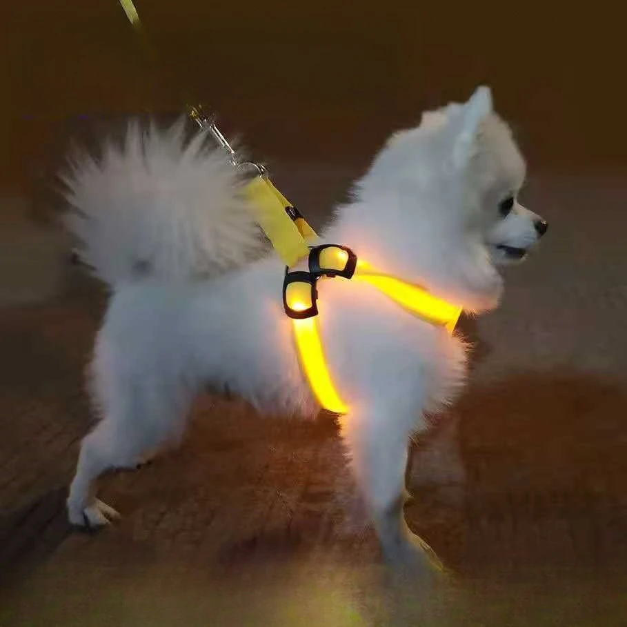 Suministros LED para mascotas, arnés luminoso LED para el pecho para perros, luz nocturna para perros grandes, luz para acuario para perros