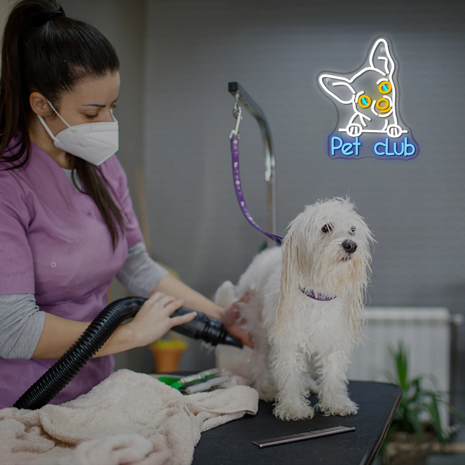 Pet Club Neon LED Sign Dimmable Neon Lights For Wall Decor Pet Store Room Decoration Cute Dog USB Powered Neon Lamo Signs Logo